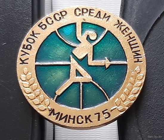 Кубок БССР среди женщин. Минск 75. Ае-43