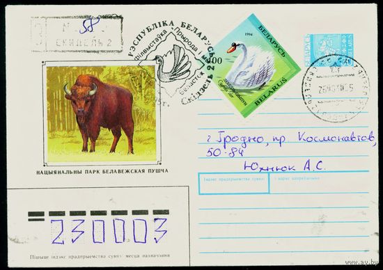 Беларусь 1994 год Художественный маркированный конверт ХМК Национальный парк Беловежская Пуща
