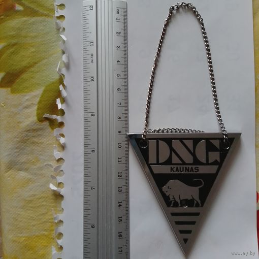 Эмблема DNG Kaunas