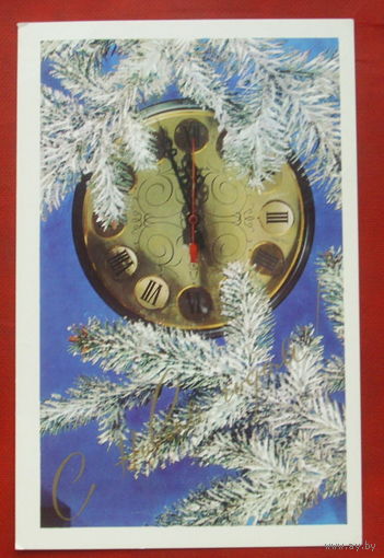 С новым годом! Чистая. 1983 года. Фото Столярова. *376.