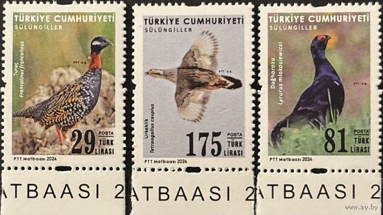 Марки Турция 2024 фауна птицы MNH