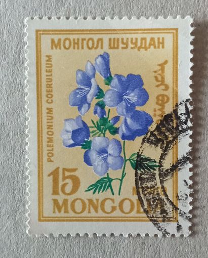 Цветы.