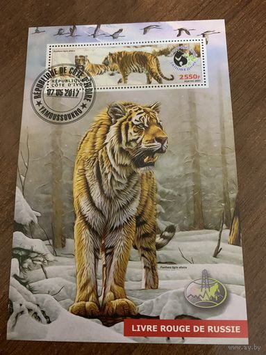 Кот дивуар 2017. Тигры. Блок