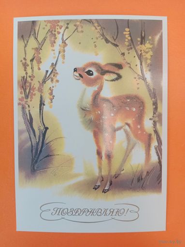 Каневский,1986