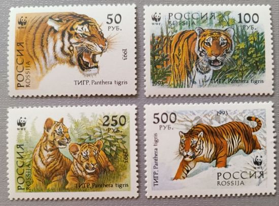 Россия, 1993. Тигры, серия
