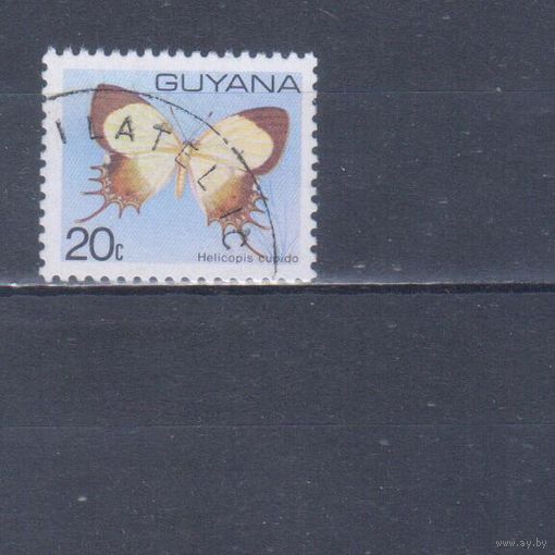 [390] Гайана 1978. Фауна.Бабочка. Гашеная марка.