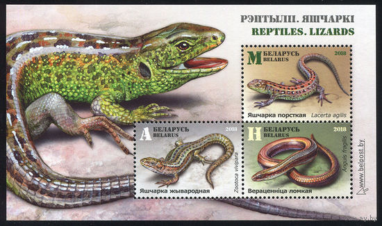 2018_Рептилии.