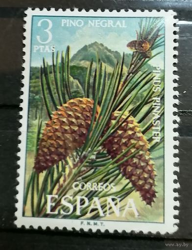 Испания 1972