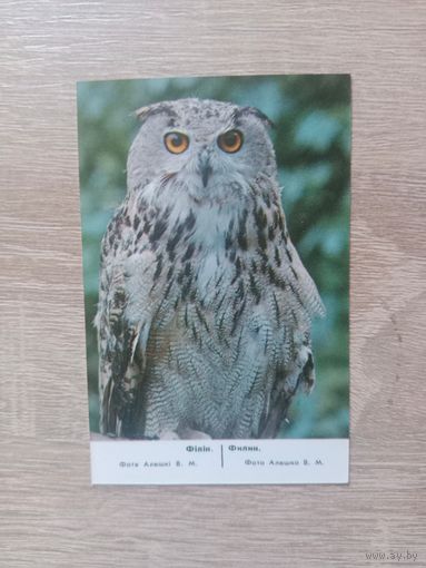 Календарик 1988