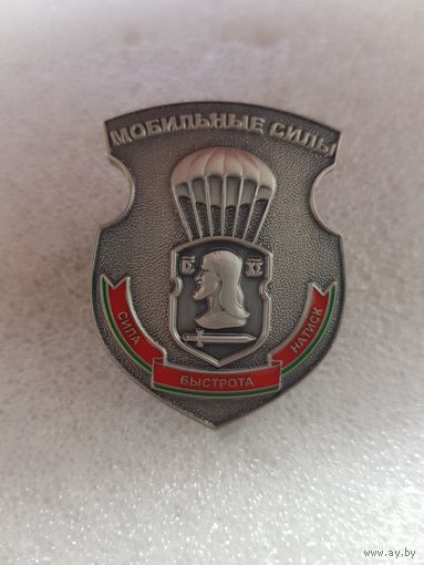 317 отдельная мобильная бригада Беларусь