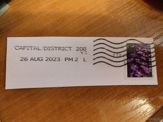 2020 США самоклейка на вырезке флора цветы архидея (1-8)