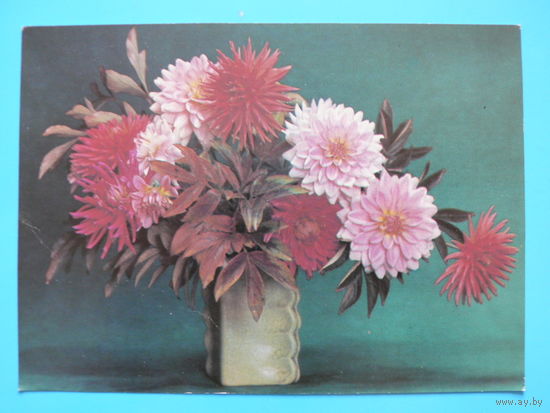 Агладзе Н., Мартьяхин С., Цветы, 1985, чистая.