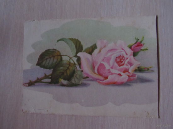 Поздравляем! худ. Ходатаева. 1965 г. Цветок роза