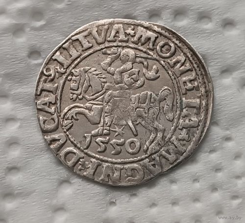 1/2 гроша полугрош 1550 с блеском