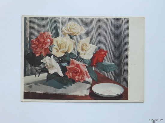 ГДР цветы 1956   10х15 см