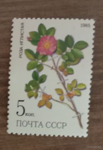 Марка СССР 1985