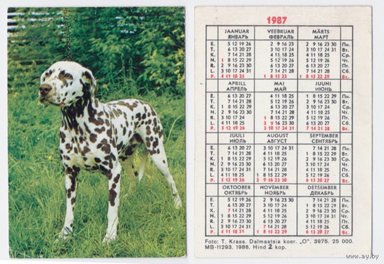 Календарь собаки Долматинец 1987