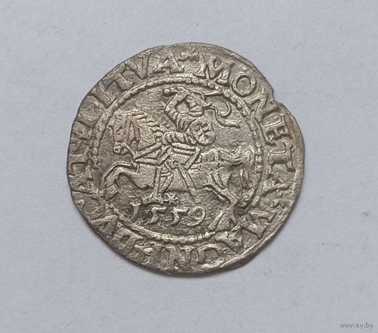 Паўгрошы Жыгiмонта II. 1559, Вильно. Очень хороший! Блеск