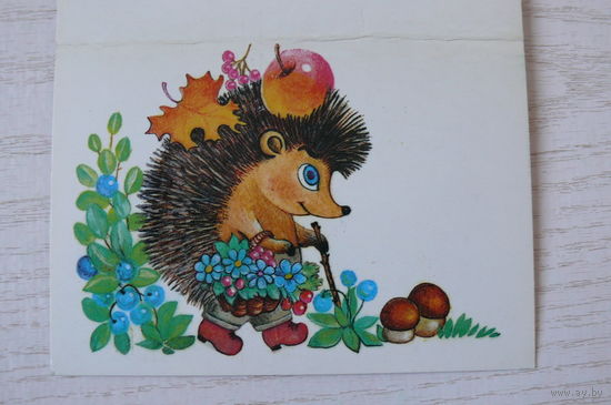 Жебелева Т., Поздравляю! 1985, двойная, чистая, мини-формат (ёжик, грибы).