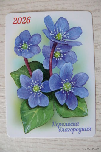 Календарик, 2026, Перелеска благородна, изд. "Белпочта".