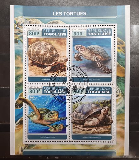 Того. 2017 год. Фауна. Рептилии. Черепахи (1126)