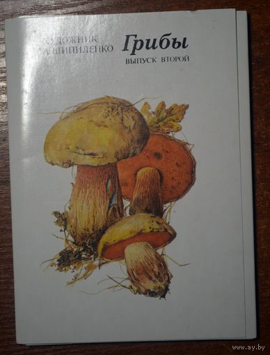 Грибы 16 открыток 1987