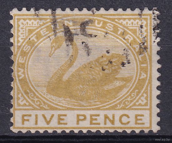 151.Aust. Великобритания. Австралийские штаты. Западная Австралия. Чёрный лебедь. Стандарт. 1890/93 гг. 5p. Mi.#38.