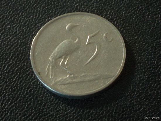 ЮАР 5 центов 1981 г.
