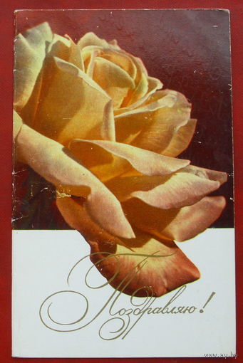 Поздравляю! Подписанная. Двойная. 1972 года. Шагина. 813.
