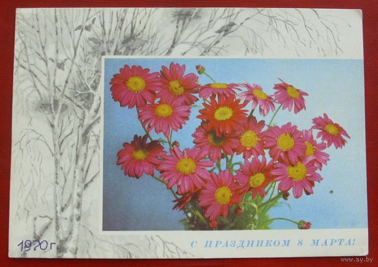 С праздником 8 марта! Подписанная. Пармеев. 159.