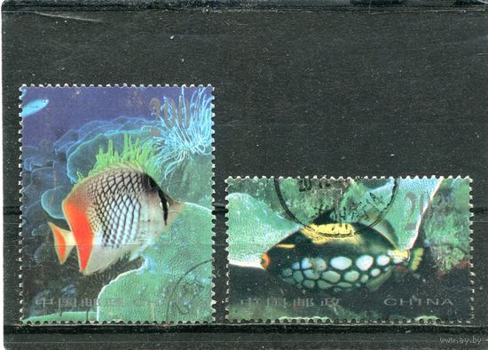 Китай. Морская фауна. Рыбы