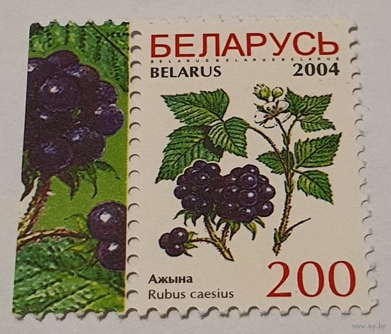 Ягоды 2004 год