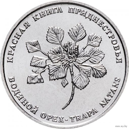 Приднестровье 1 рубль, 2019 Водяной орех (чилим) UNC