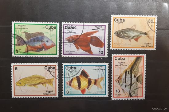 Куба. 1977 год. Фауна. Рыбы (24)