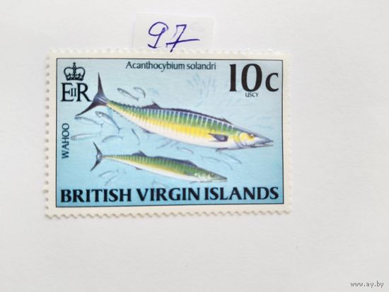 Виргинские о-ва 1997 рыбы