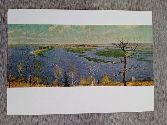 1958. Звенигородский. Сож. Большая вода