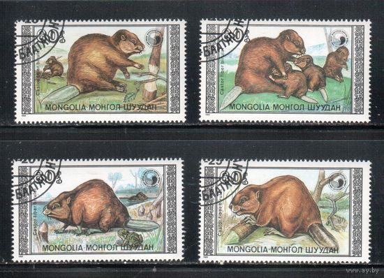 Монголия-1989 (Мих.2021-2024) гаш. , Фауна (полная серия)