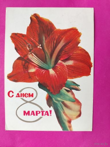 С днём 8 марта! Подписанная. 1965 года. Удин. 49.