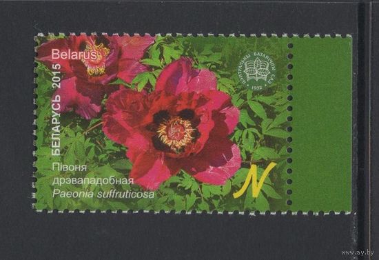 Флора кусты Беларусь 2015 "Центральный ботанический сад."Пион древовидный"