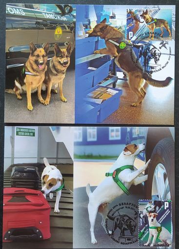 Беларусь 2021 КМ служебмные собаки таможни.