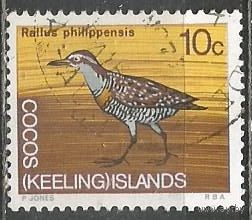 Кокосовые острова. Птица полосатый пастушок. 1969г. Mi#14.