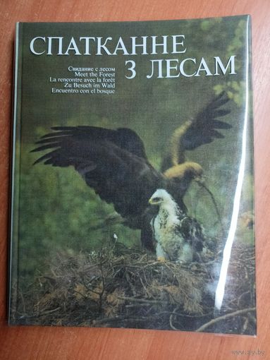 "Свидание с лесом" Автор текста и фото Вячеслав Алешка