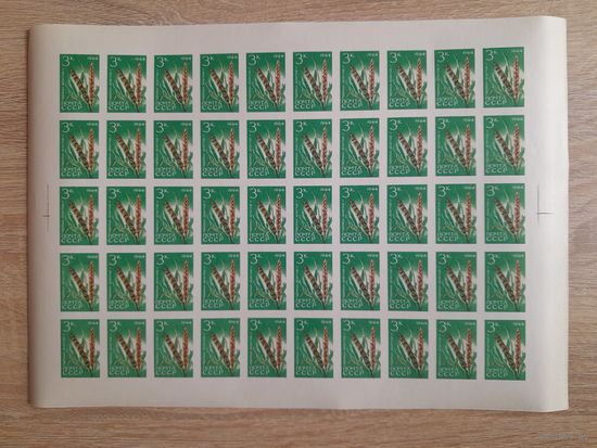 Лист 1964 г. Сельскохозяйственные культуры.  Пшеница