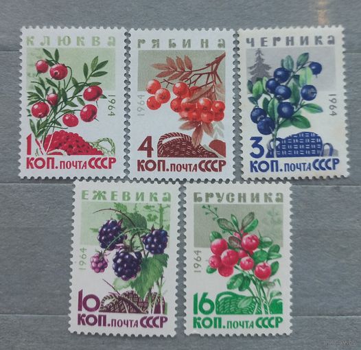 СССР. 1964г. Ягоды.