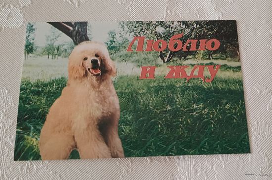 Календарик карманный 2006