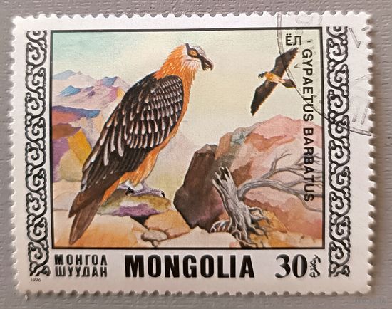 Птицы. Монголия, 1976