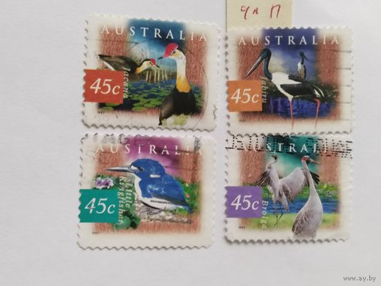 Австралия  1997  4 м  птицы