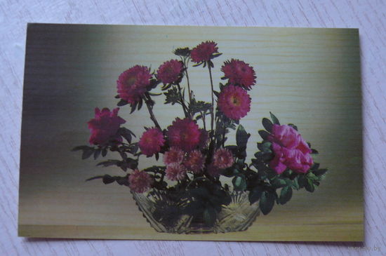 Левянт Ю., Медведева А., С днем рождения! 1982, чистая (9*14 см).