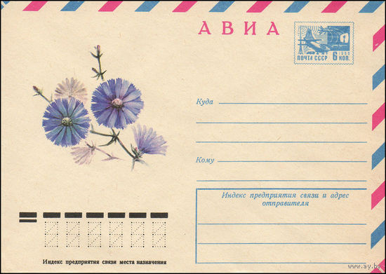Художественный маркированный конверт СССР N 10803 (09.09.1975) АВИА  Цикорий