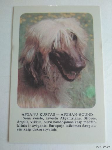 Карманный календарик. Борзая. 1988 год